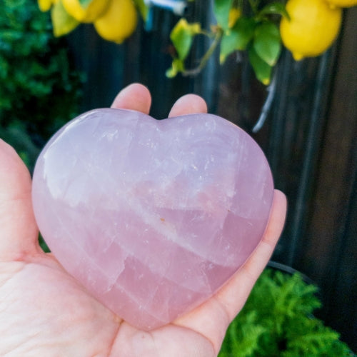 Rose Quartz Hearts Home & Garden Pink Corydalis XL