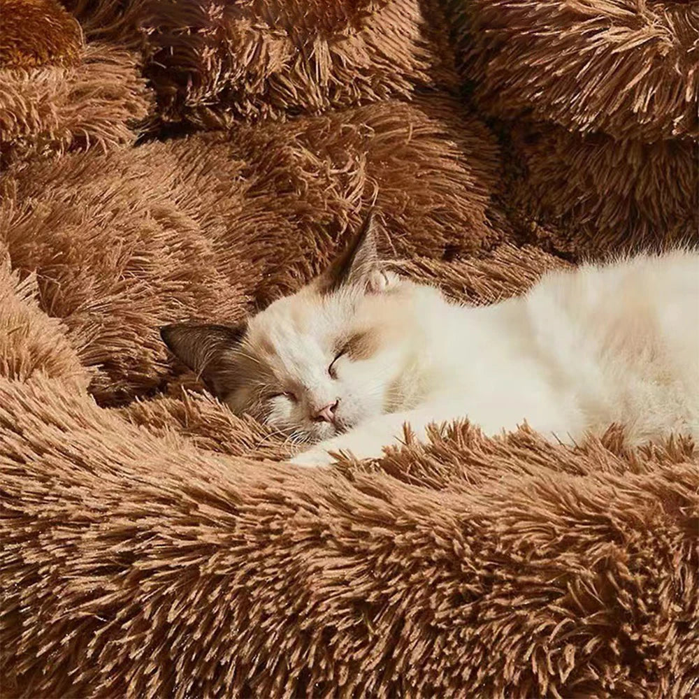 Luxurious Plush Pet Bed for Dogs and Cats – Cozy, Breathable, and Washable Jassorted