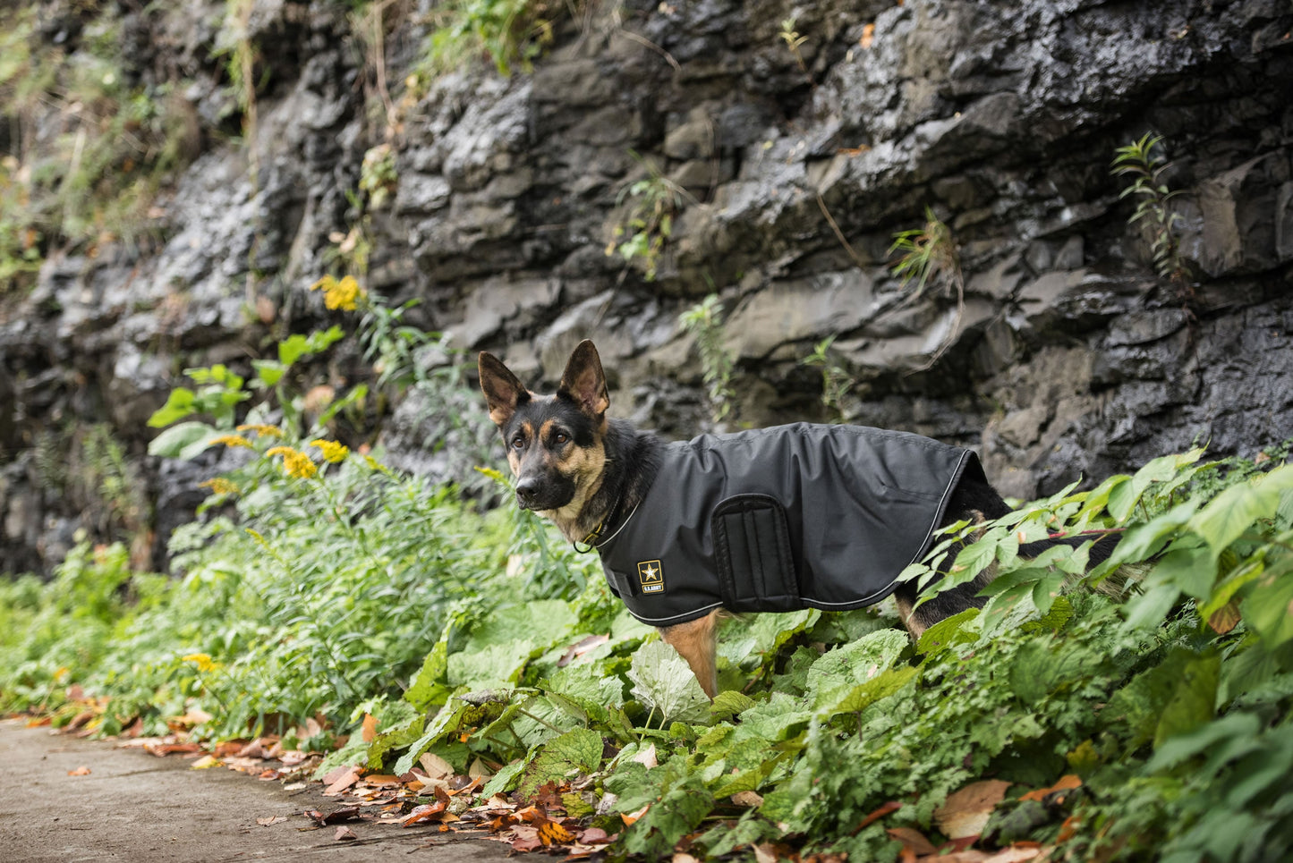 Army Dog Blanket Jacket Jassorted