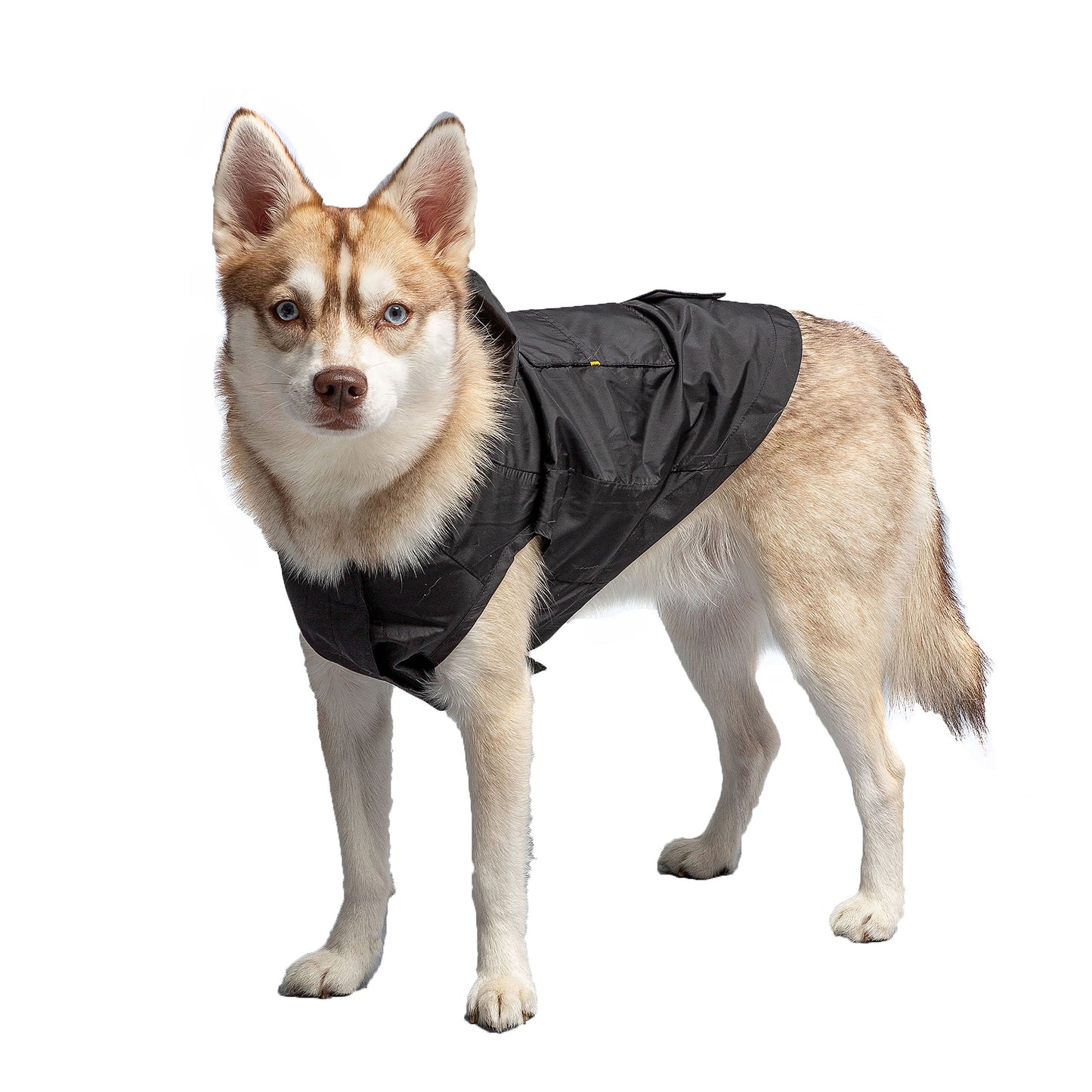 Black Packable Dog Raincoat Jassorted