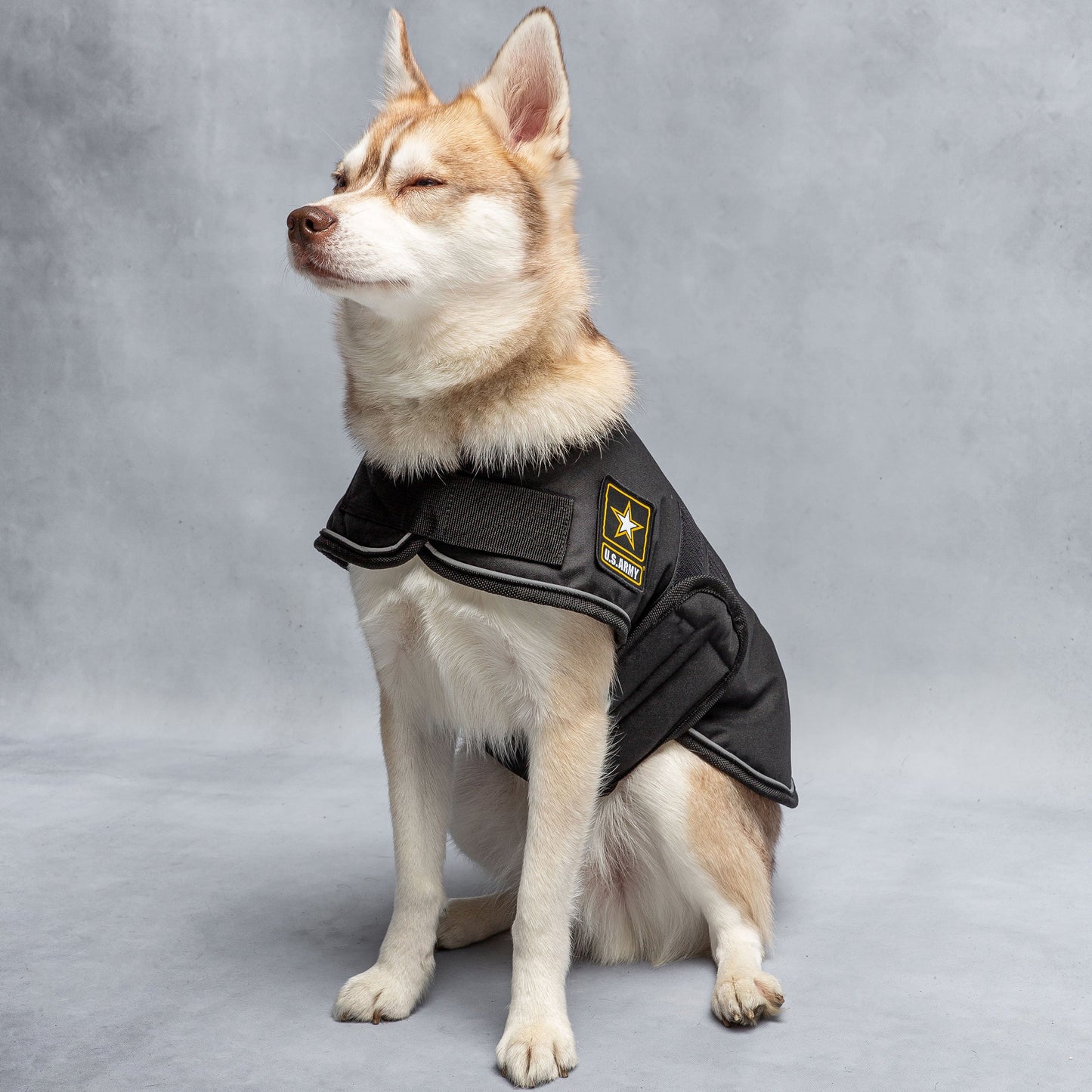 Army Dog Blanket Jacket Jassorted