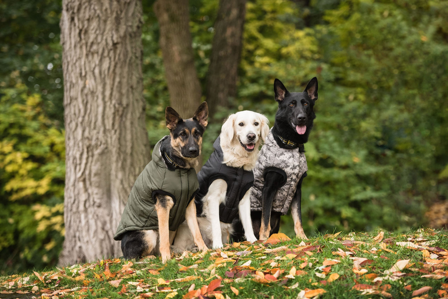 Dark Camo Army Dog Parka Jassorted