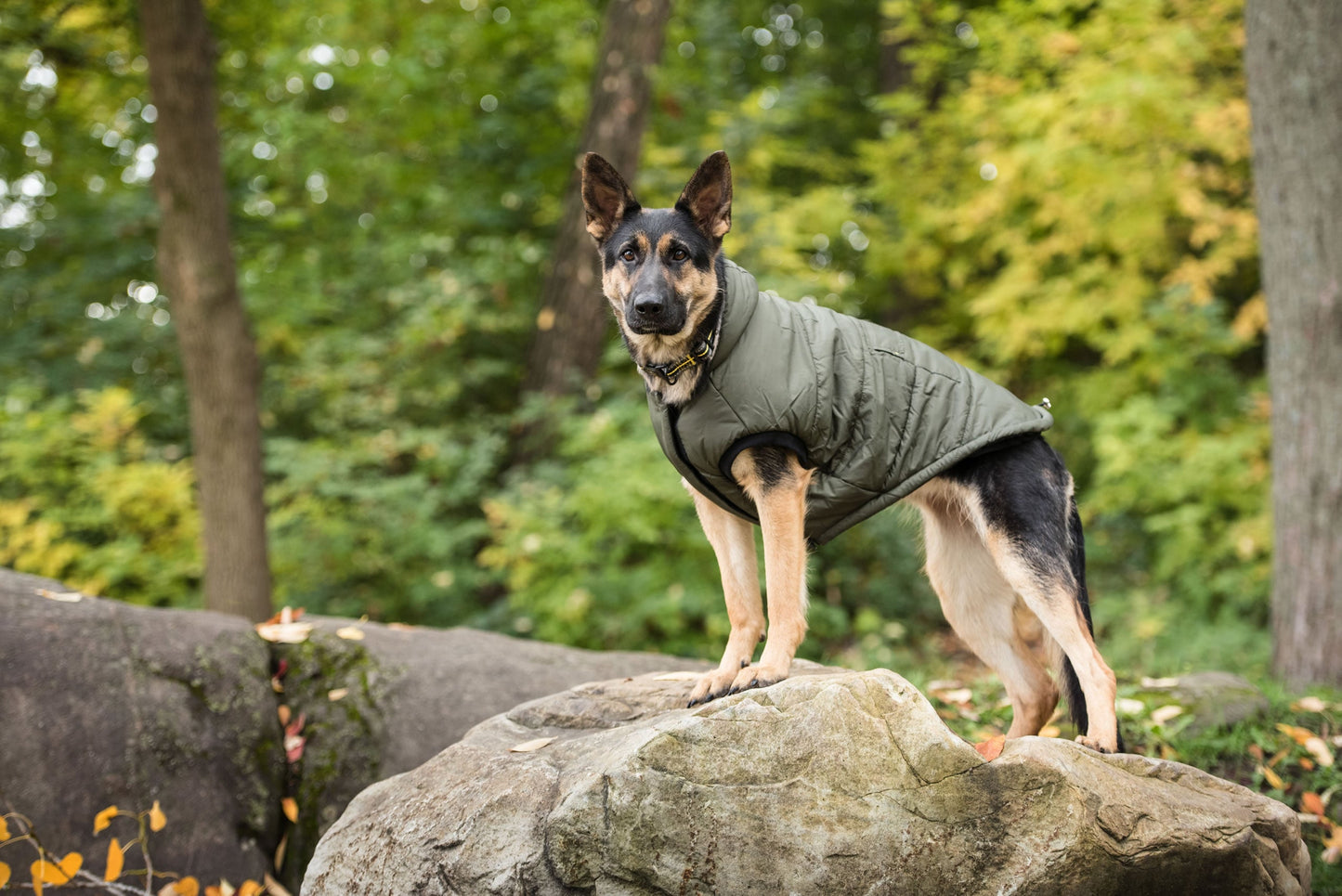 Dark Camo Army Dog Parka Jassorted