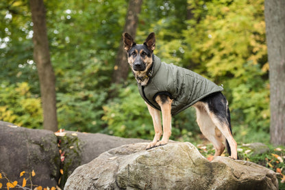 Dark Camo Army Dog Parka  Jassorted   